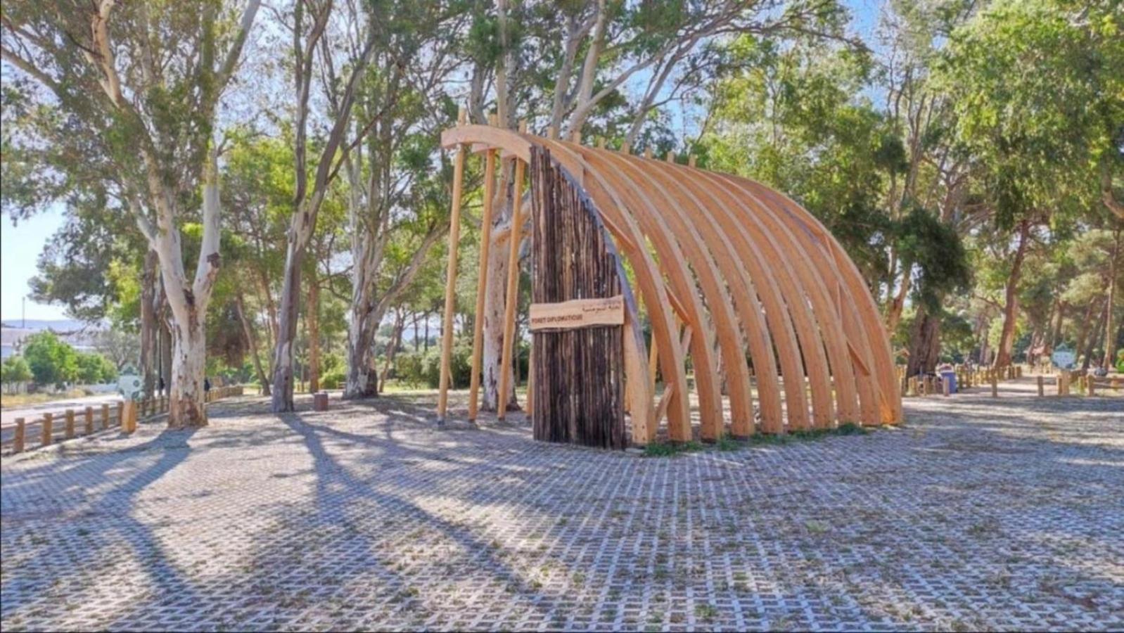 Charming, Peaceful House, Between Forest And Sea Tânger Exterior foto